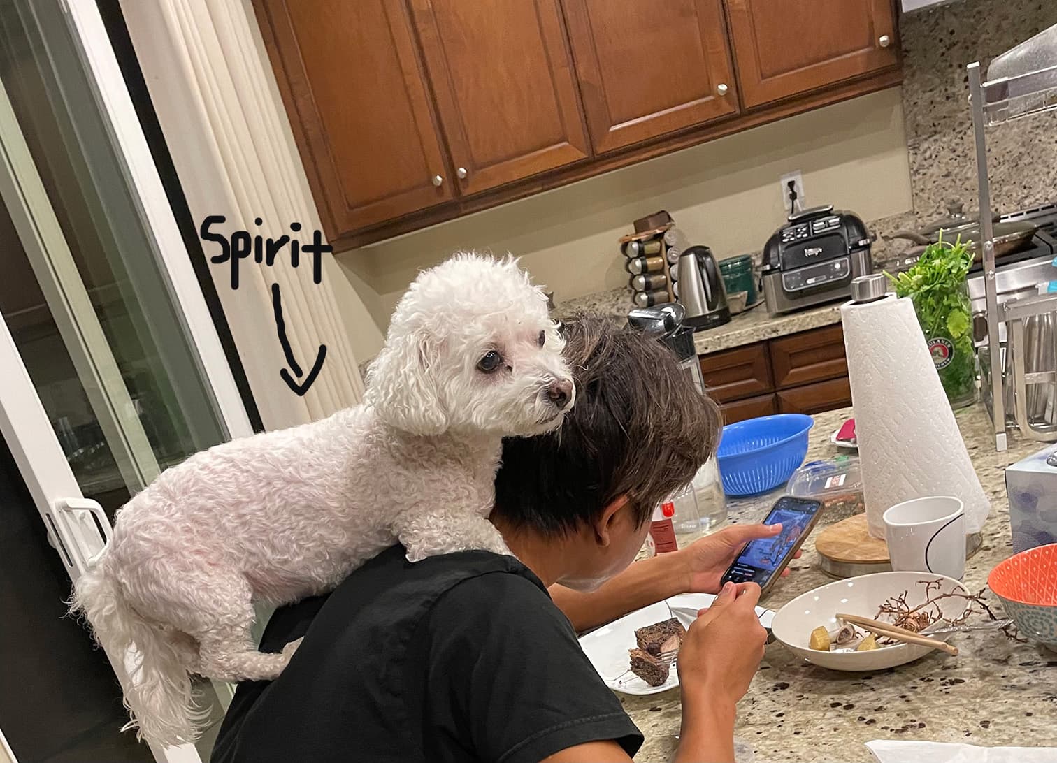 First 30 Minutes Free #TeamSpirit